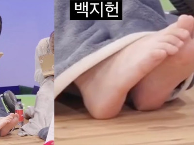 백지헌