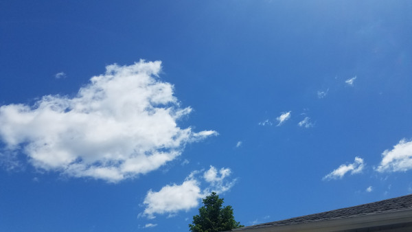 31c4f87eee564282e24970fc7acbb6c5_1738597723_5956.jpg