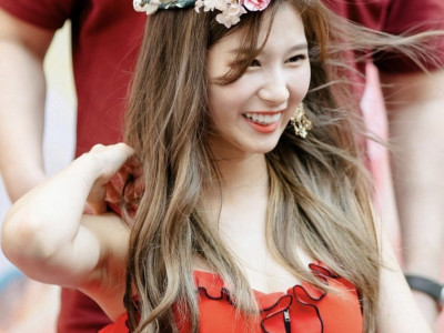 사나