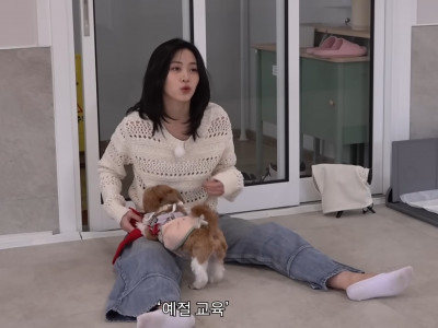 류진 흰덧신