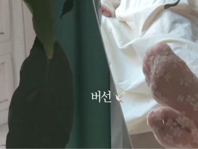 망사 버선발