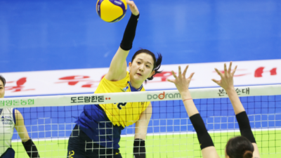 여자배구 FA 시장 개막... '블로킹·속공 1위' 이다현, 최대어로 부상
